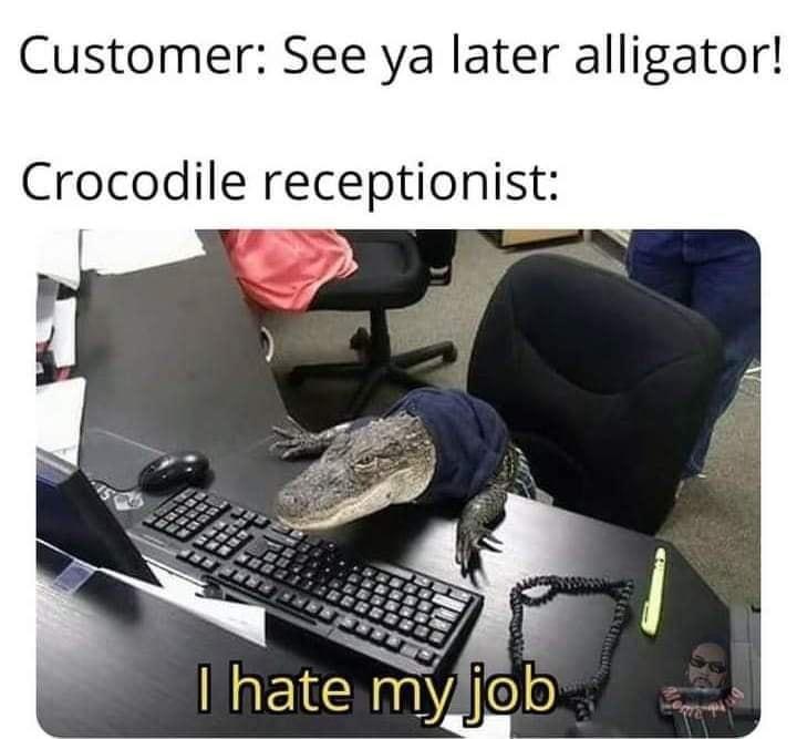 Customer See ya later alligator Crocodile receptionist