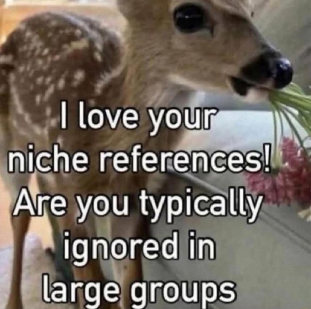 I love your niche references! Are you typically ignored in large groups