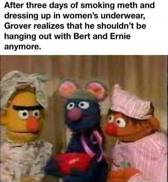 After three days of smoking meth and dressing up in women's underwear, Grover realizes that he shouldn't be hanging out with Bert and Ernie anymore.