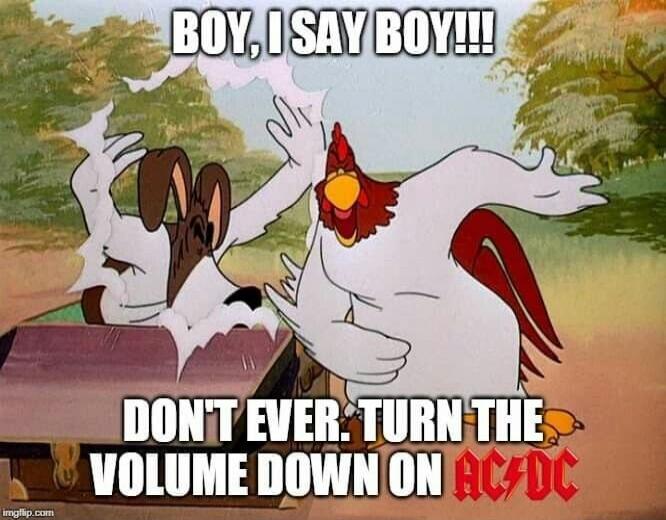 BOY, I SAY BOY!!! DON'T EVER. TURN THE VOLUME DOWN ON AC/DC