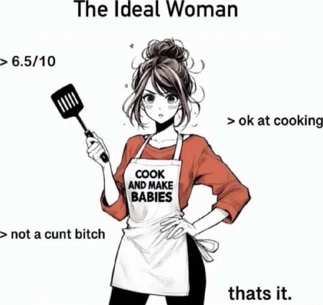 The Ildeal Woman ok at cooking not a cunt bitch thats it