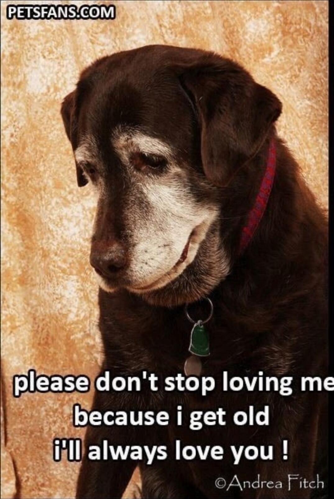 please don't stop loving me because i get old i'll always love you !