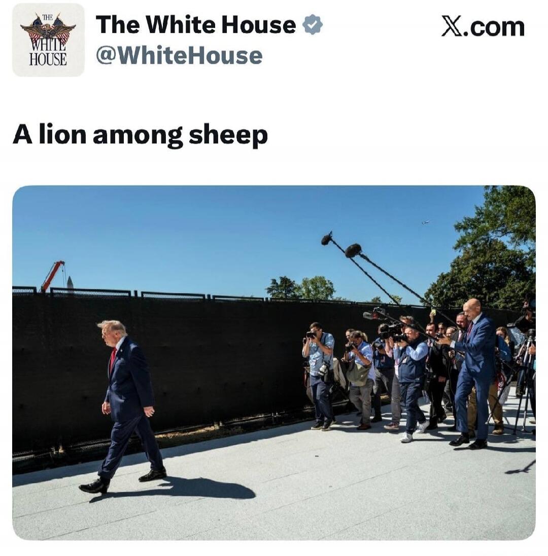 The White House @WhiteHouse X.com A lion among sheep