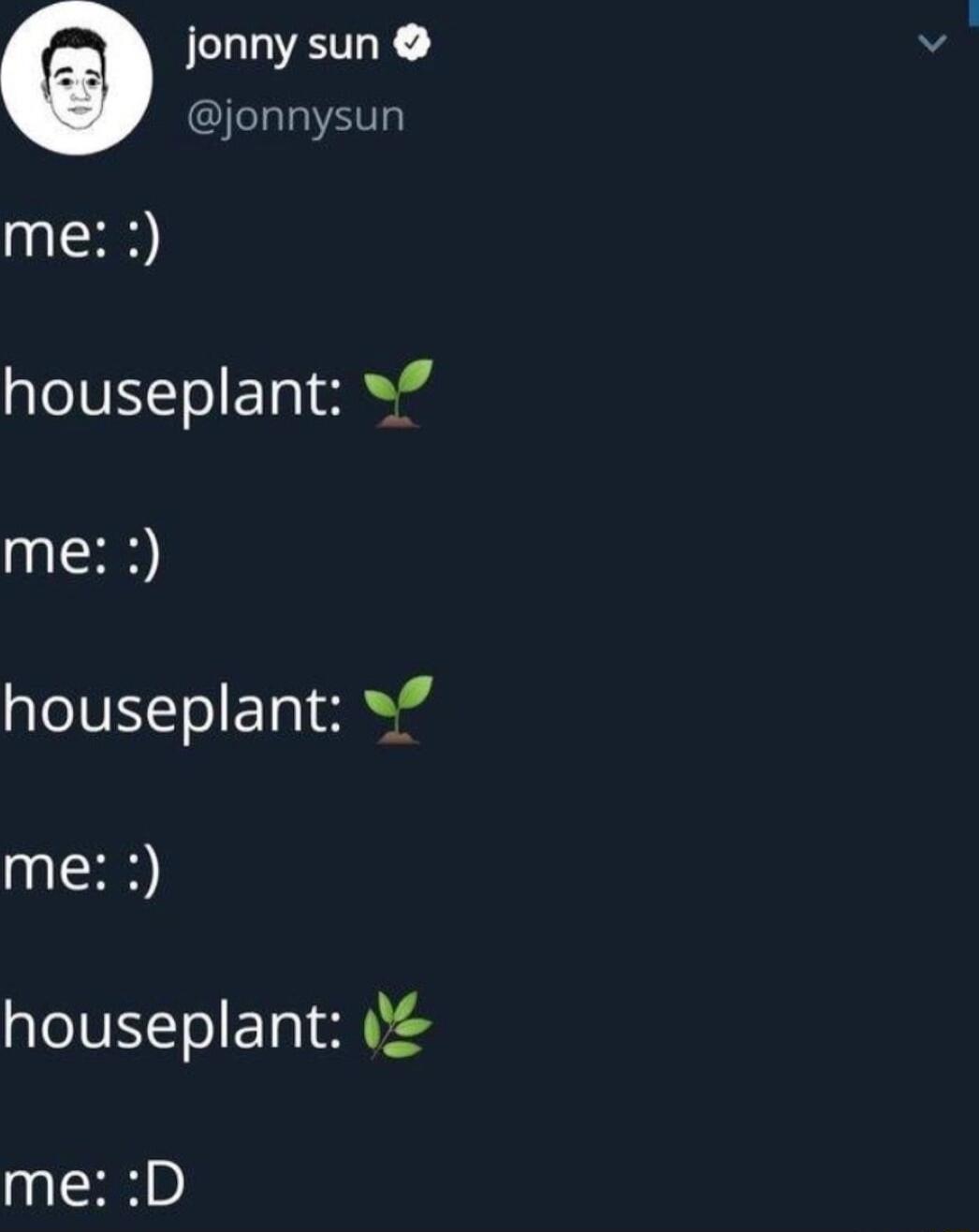 ELLVETLE jonnysun me houseplant me houseplant 7 me houseplant me D