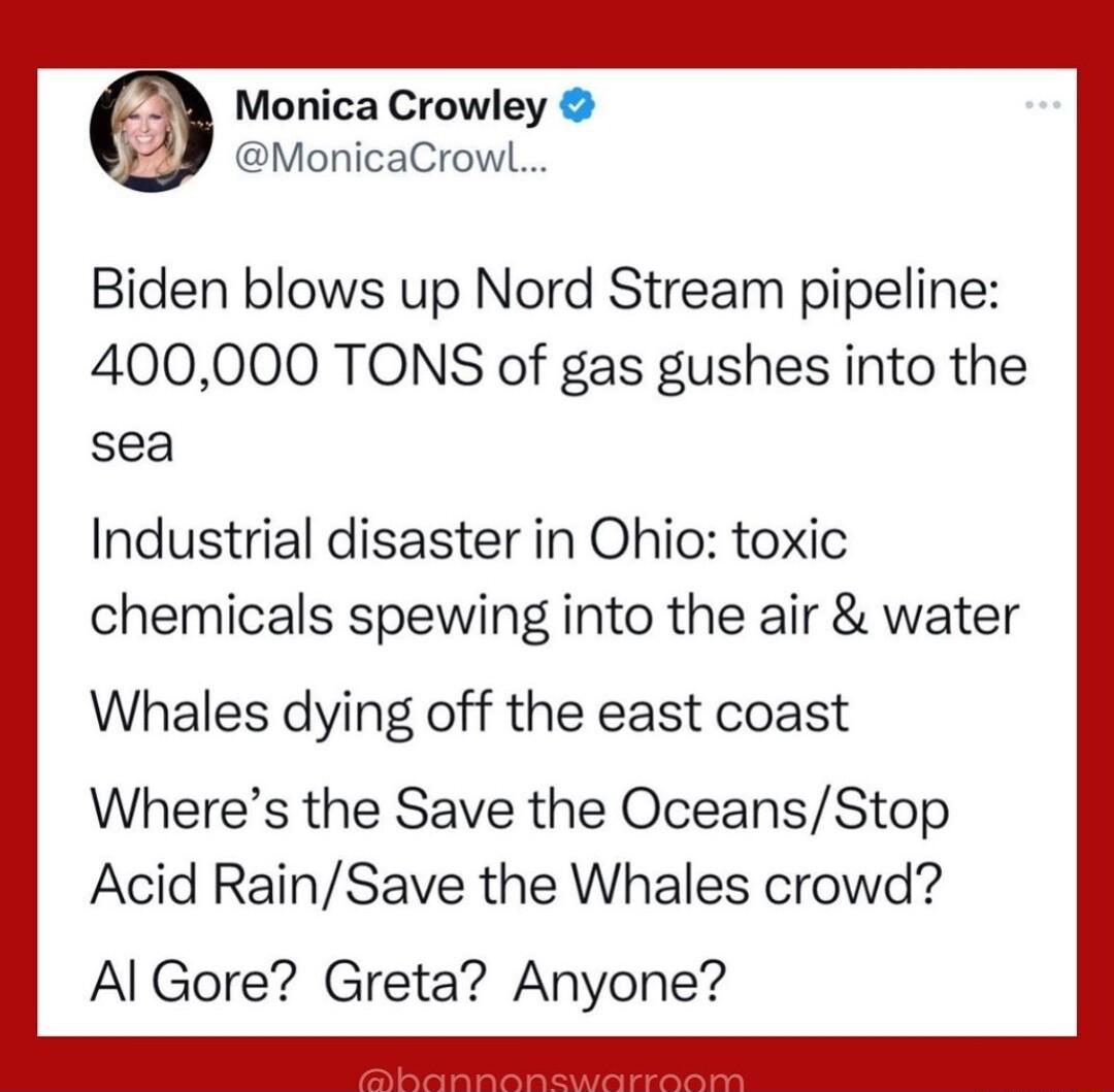 Monica Crowley MonicaCrowl Biden blows up Nord Stream pipeline 400000 TONS of gas gushes into the sea Industrial disaster in Ohio toxic chemicals spewing into the air water Whales dying off the east coast Wheres the Save the OceansStop Acid RainSave the Whales crowd Al Gore Greta Anyone