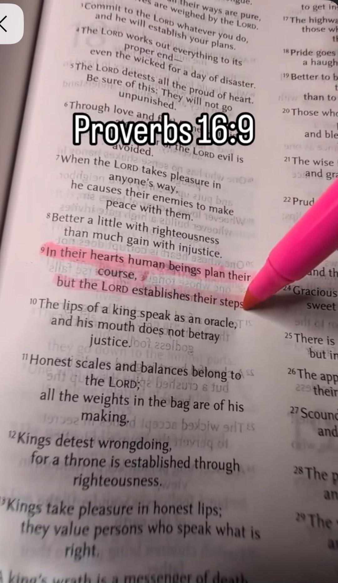 In their hearts humans plan their course, but the LORD establishes their steps.