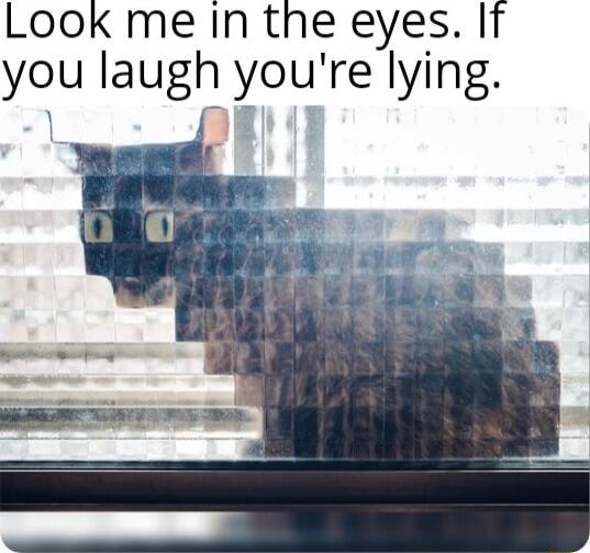 Look me In the eyes It you laugh youre lying 1