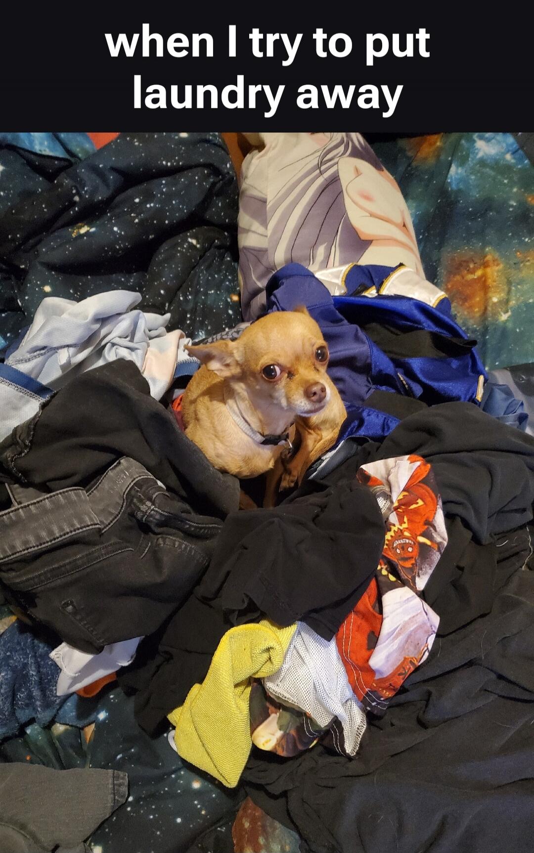 when I try to put laundry away