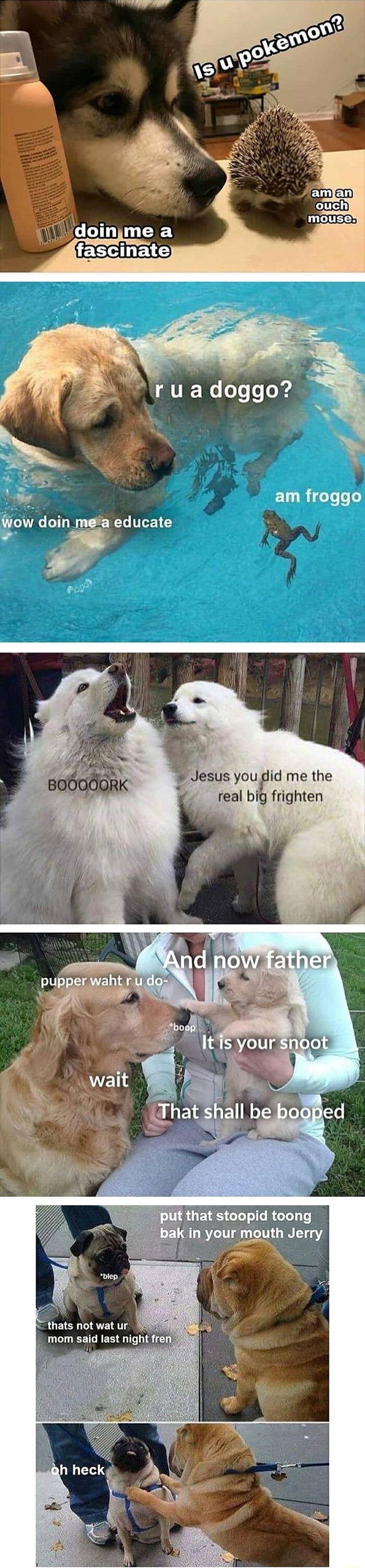 Jesus youdid me the real big frighten