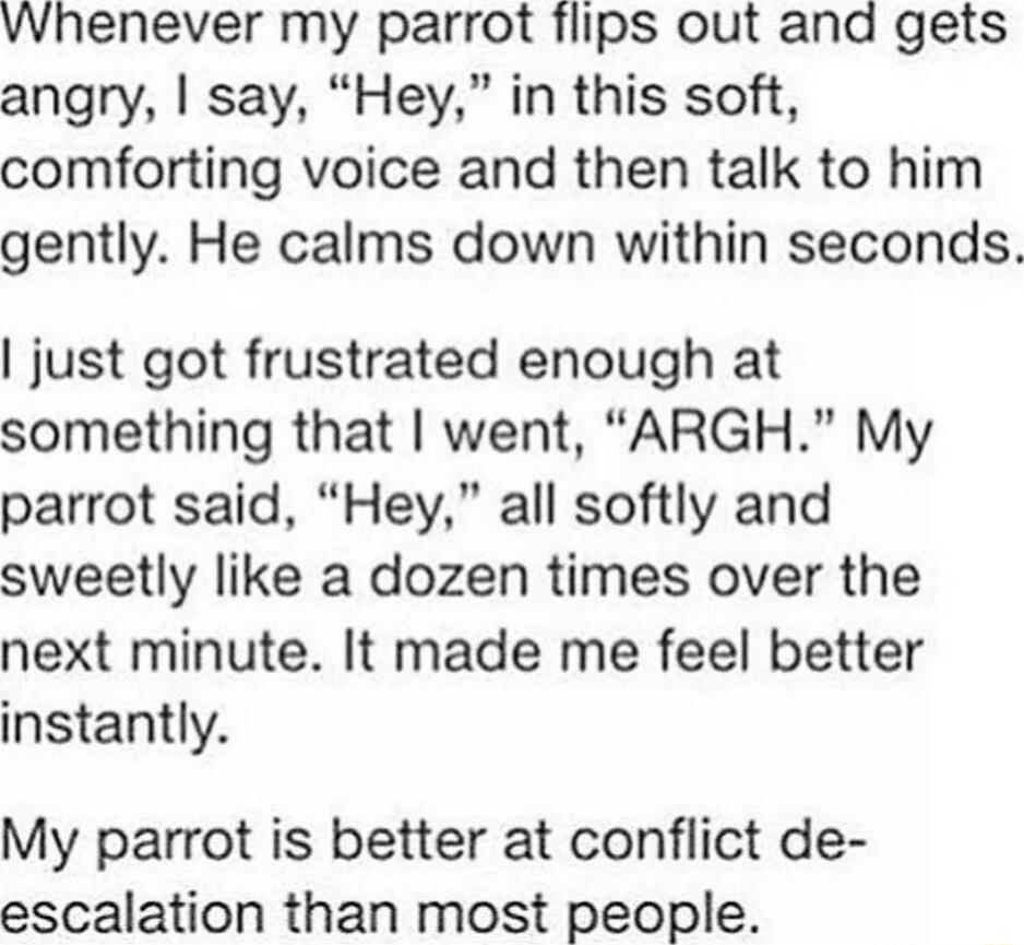 Whenever my parrot flips out ana gets angry say Hey in this soft comforting voice and then talk to him gently He calms down within seconds just got frustrated enough at something that went ARGH My parrot said Hey all softly and sweetly like a dozen times over the next minute It made me feel better instantly My parrot is better at conflict de escalation than most people