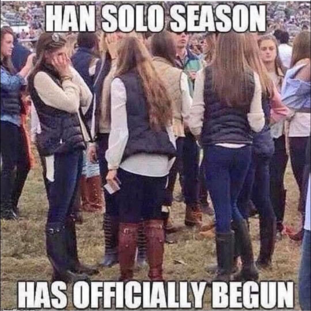 HAN SOLO SEASON HAS OFFICIALLY BEGUN