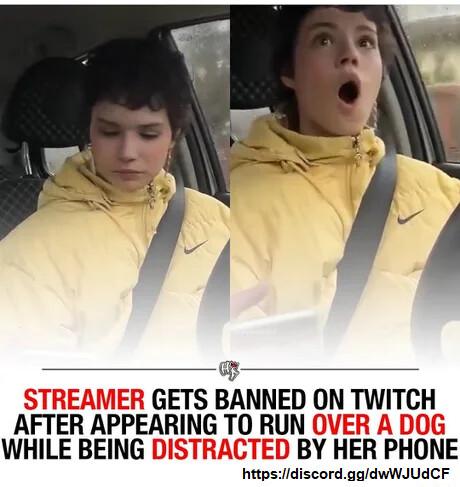 EAMER GETS BANNED ON TWITCH AFIER APPEARING TO RUN OVER WHILE BEING DISTF BY HER PHONE hitpsidiscordaaldwWJUACF