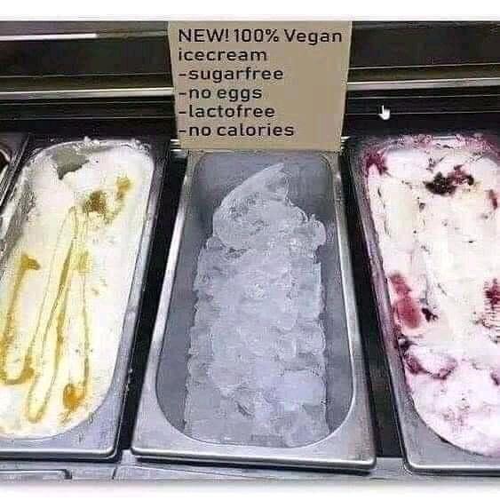 NEW100 Vegan icecream sugarfree