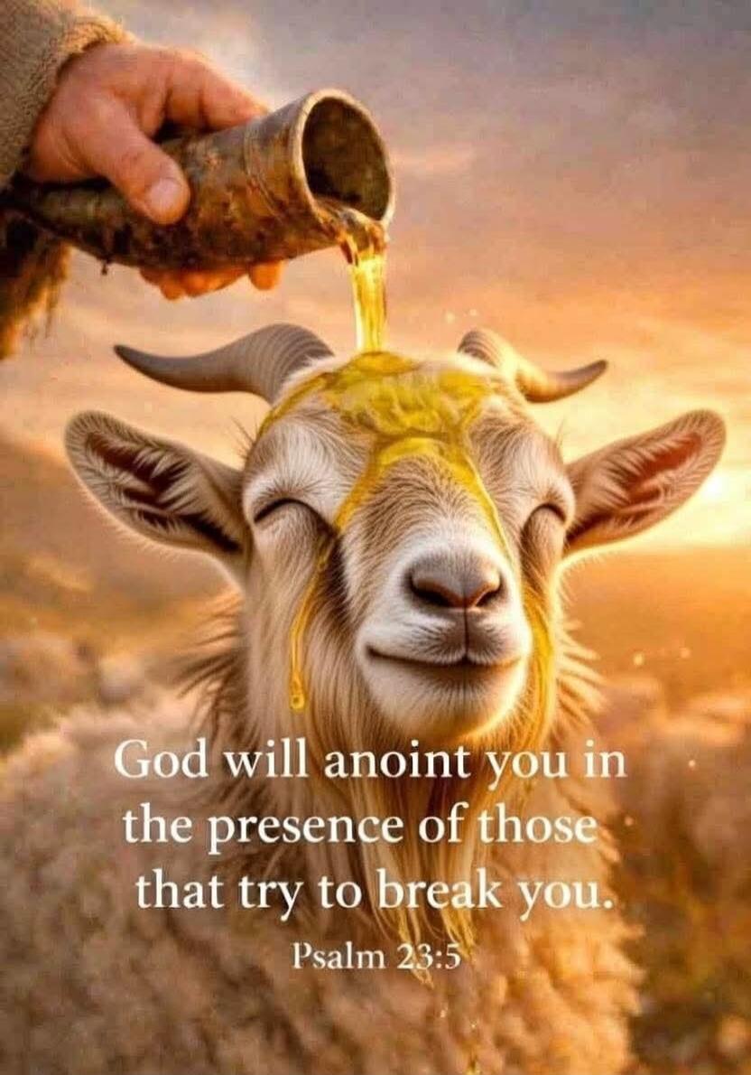 God will anoint you in the presence of those that try to break you. Psalm 23:5
