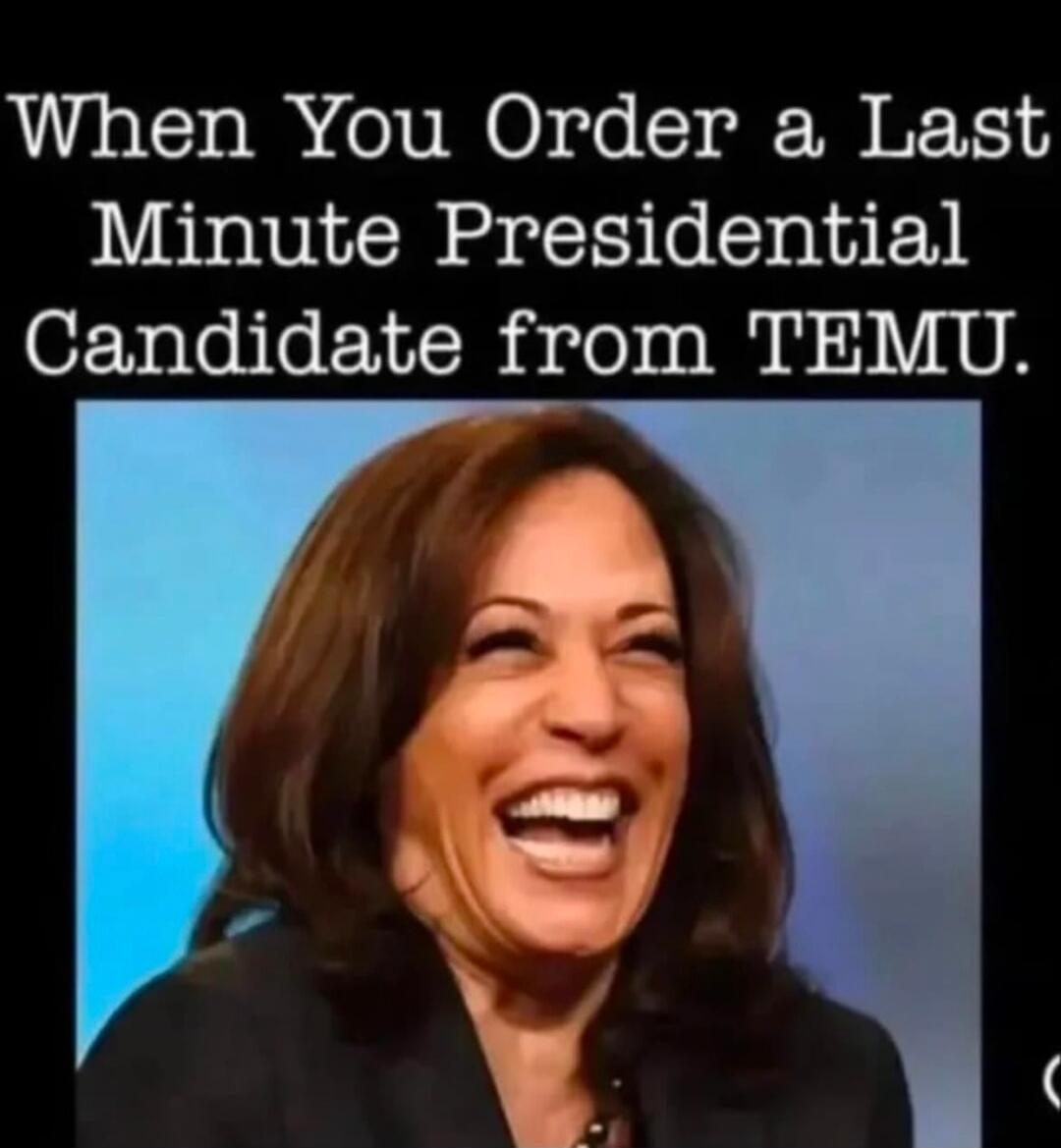 When You Order a Last Minute Presidential Candidate from TEMU.
