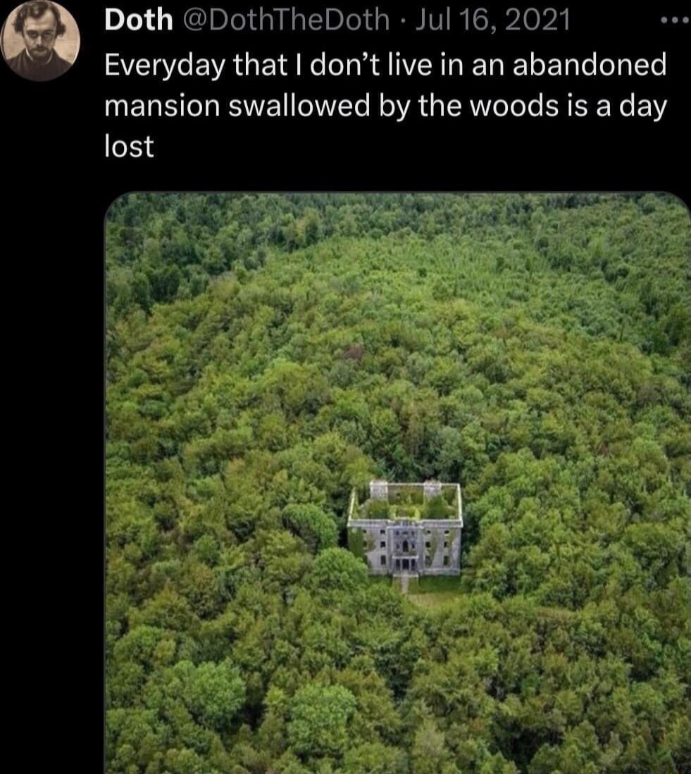 Doth DothTheDoth Jul 16 2021 Everyday that dont live in an abandoned mansion swallowed by the woods is a day