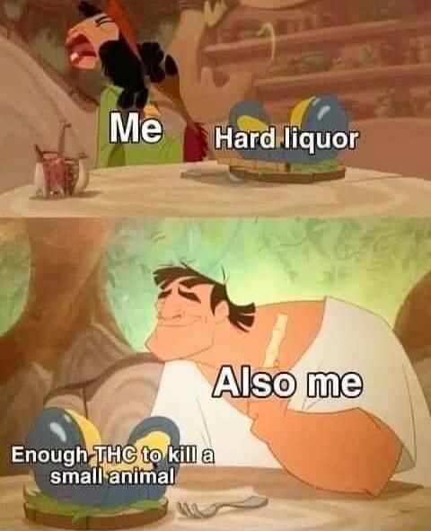 Me
Hard liquor
Also me
Enough THC to kill a small animal