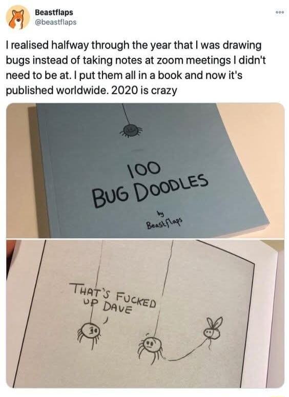 beastllaps yj Beastflaps I realised halfway through the year that was drawing bugs instead of taking notes at zoom meetings didnt need to be at put them all in a book and now its published worldwide 2020 is crazy T