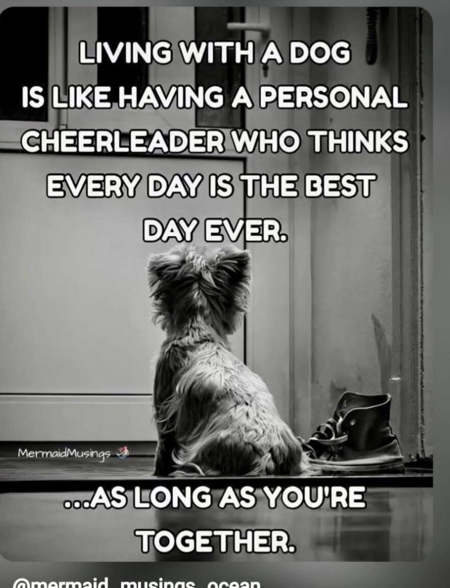 LIVING WITH A DOG IS LIKE HAVING A PERSONAL CHEERLEADER WHO THINKS EVERY DAY IS THE BEST DAY EVER. ...AS LONG AS YOU'RE TOGETHER.