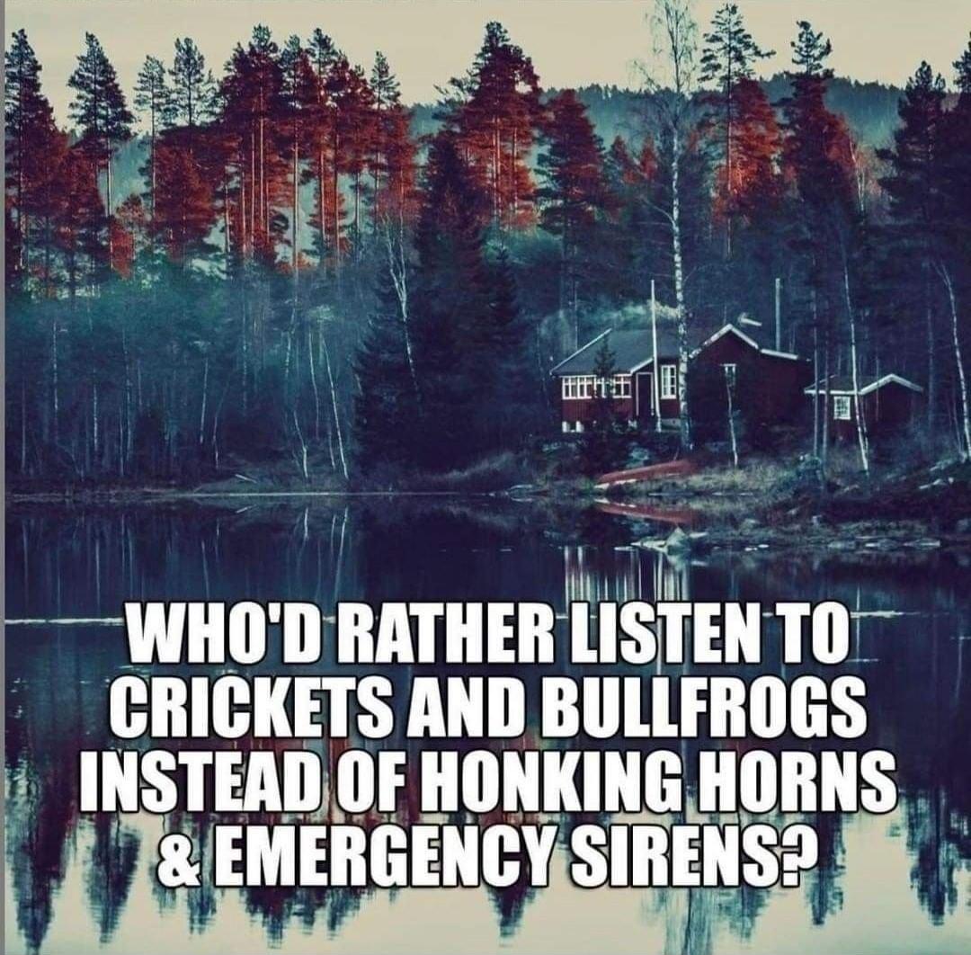 i e fllli L WHOD RATHER LISTEN III CRICKETS AND BllllFIillGS INSTEAIMIF IIIINIING HORNS 8 GYSIIIENS A St