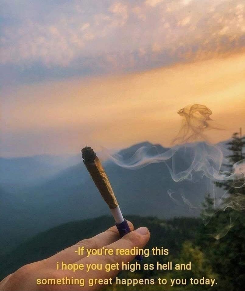 If you're reading this i hope you get high as hell and something great happens to you today.