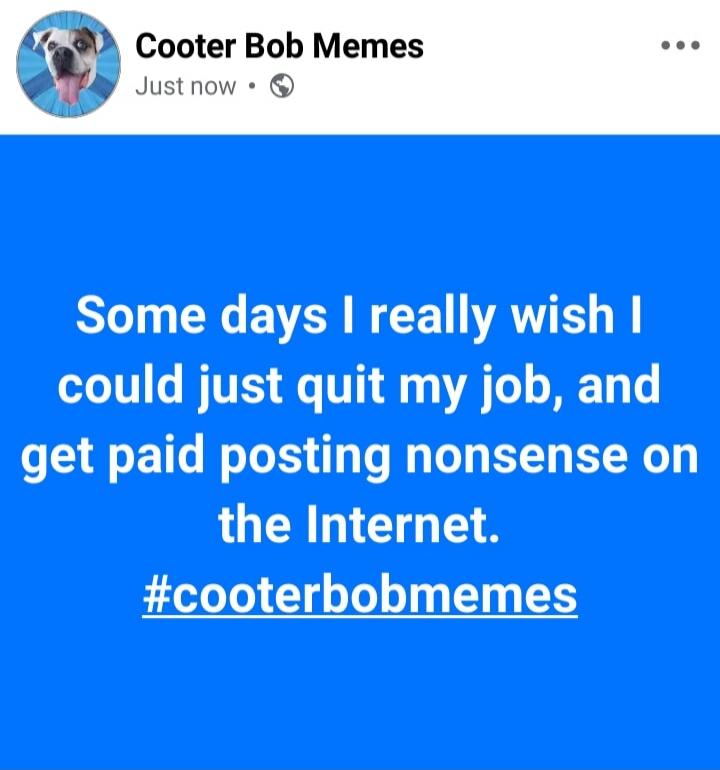 Some days I really wish I could just quit my job, and get paid posting nonsense on the Internet. #cooterbobmemes
