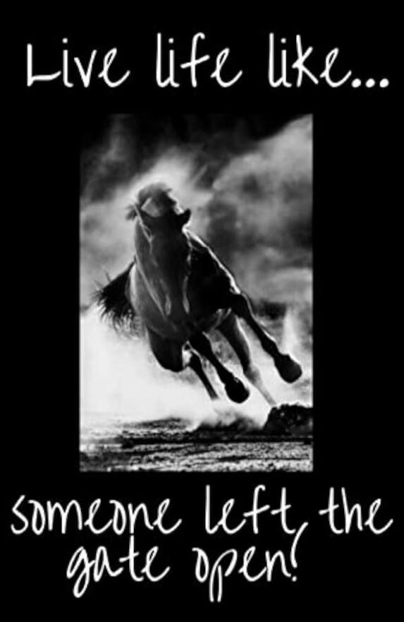 Live life like... someone left the gate open!