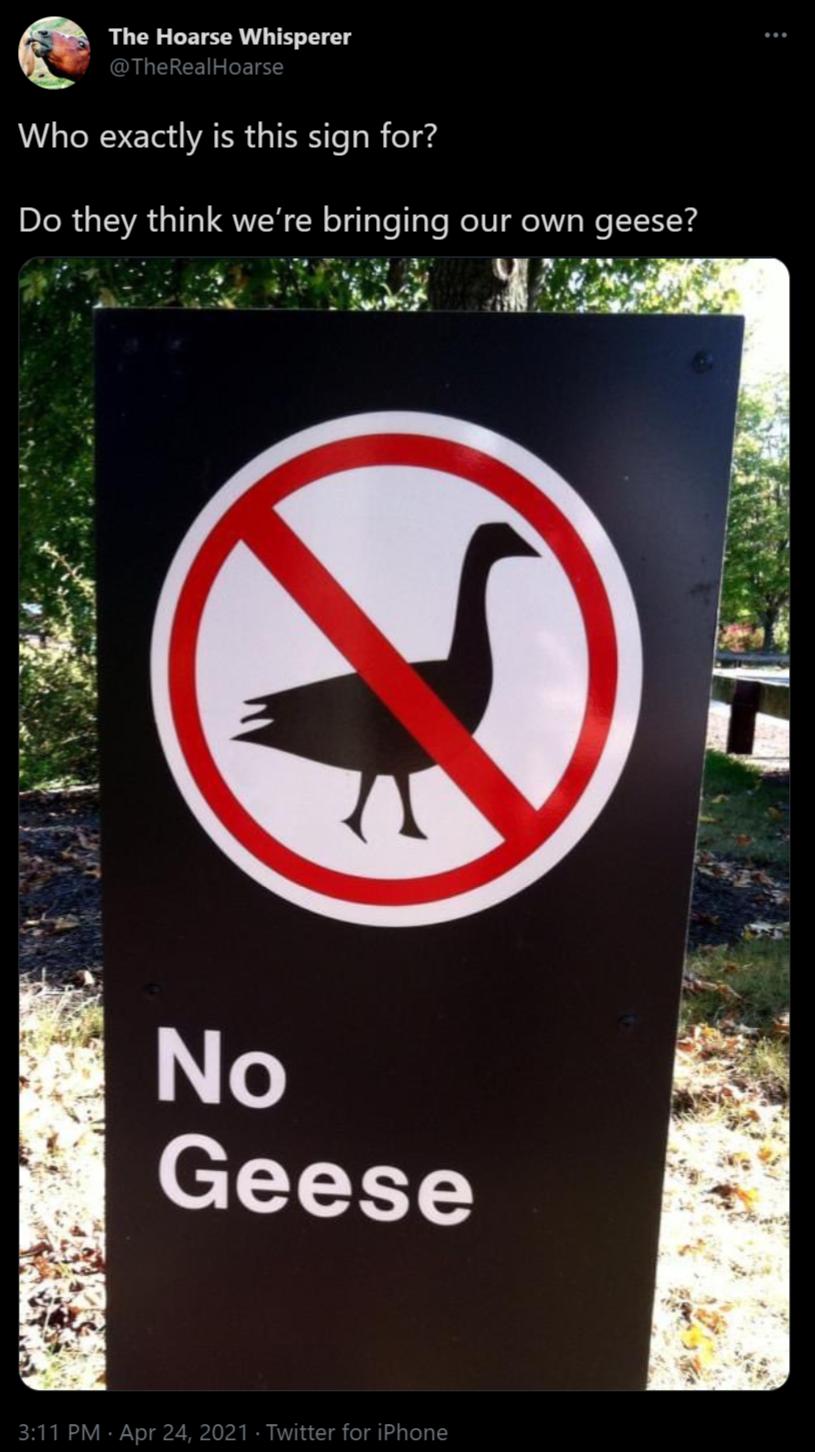 e LU GH CETEER T T T Who exactly is this sign for Do they think were bringing our own geese YT