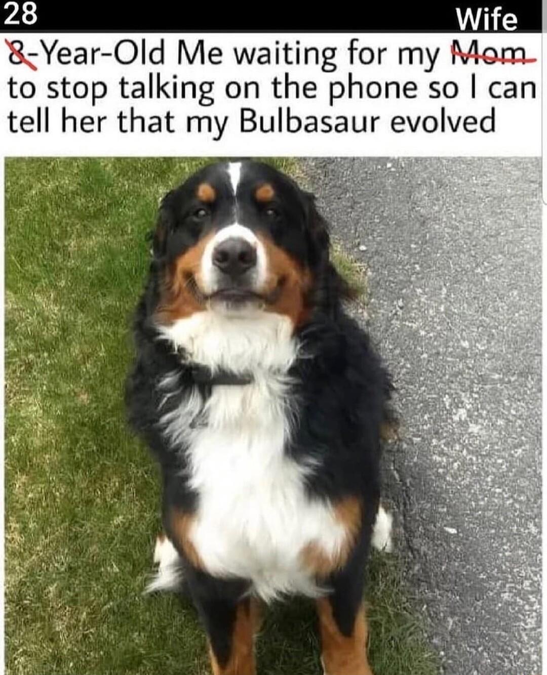 8Year Old Me waiting for my Mem to stop talking on the phone so can tell her that my Bulbasaur evolved