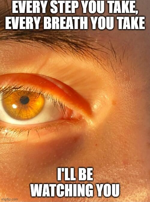 EVERY STEP YOU TAKE, EVERY BREATH YOU TAKE I'LL BE WATCHING YOU