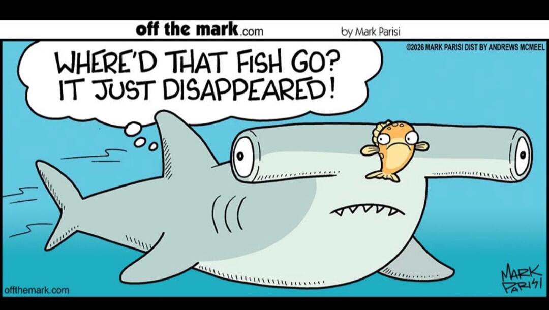 WHERE'D THAT FISH GO? IT JUST DISAPPEARED!