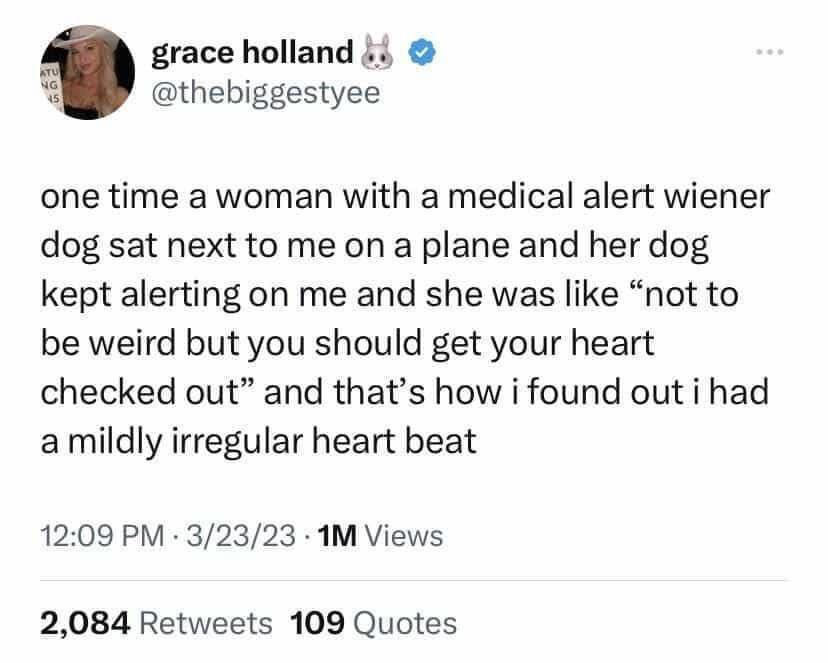 grace holland i k thebiggestyee one time a woman with a medical alert wiener dog sat next to me on a plane and her dog kept alerting on me and she was like not to be weird but you should get your heart checked out and thats how i found out i had amildly irregular heart beat 1209 PM 32323 1M Views 2084 Retweets 109 Quotes