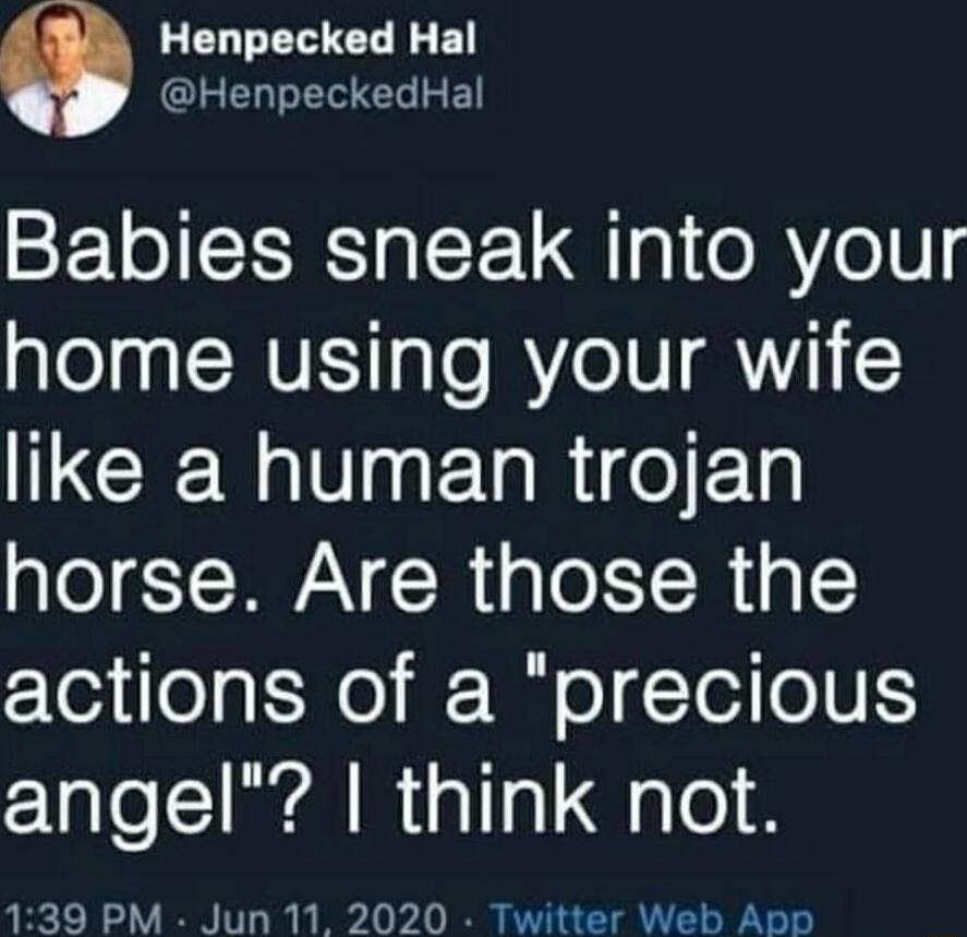Rt Babies sneak into your home using your wife like a human trojan horse Are those the ool gt N0 iR o Te oUE angel think not 139 PM Jun 11 2020 Twitter Web App