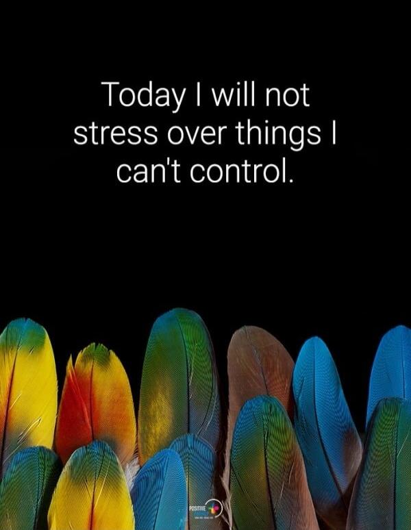 Today I will not stress over things I can't control.