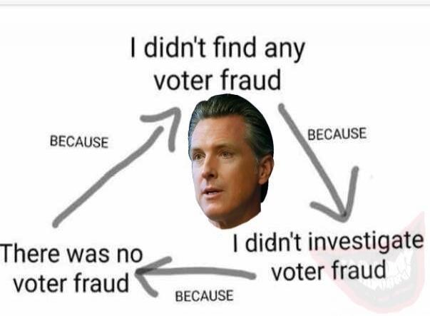 I didn't find any voter fraud BECAUSE I didn't investigate voter fraud BECAUSE There was no voter fraud BECAUSE