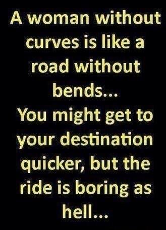 A woman without curves is like a road without bends You might get to your destination quicker but the ride is boring as hell