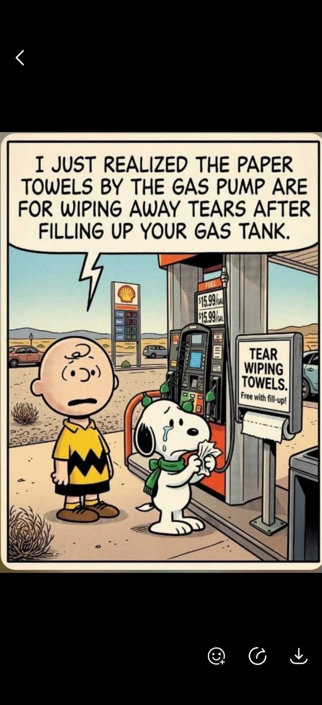 I JUST REALIZED THE PAPER TOWELS BY THE GAS PUMP ARE FOR WIPING AWAY TEARS AFTER FILLING UP YOUR GAS TANK. TEAR WIPING TOWELS. Free with fill-up! $15.99/gal