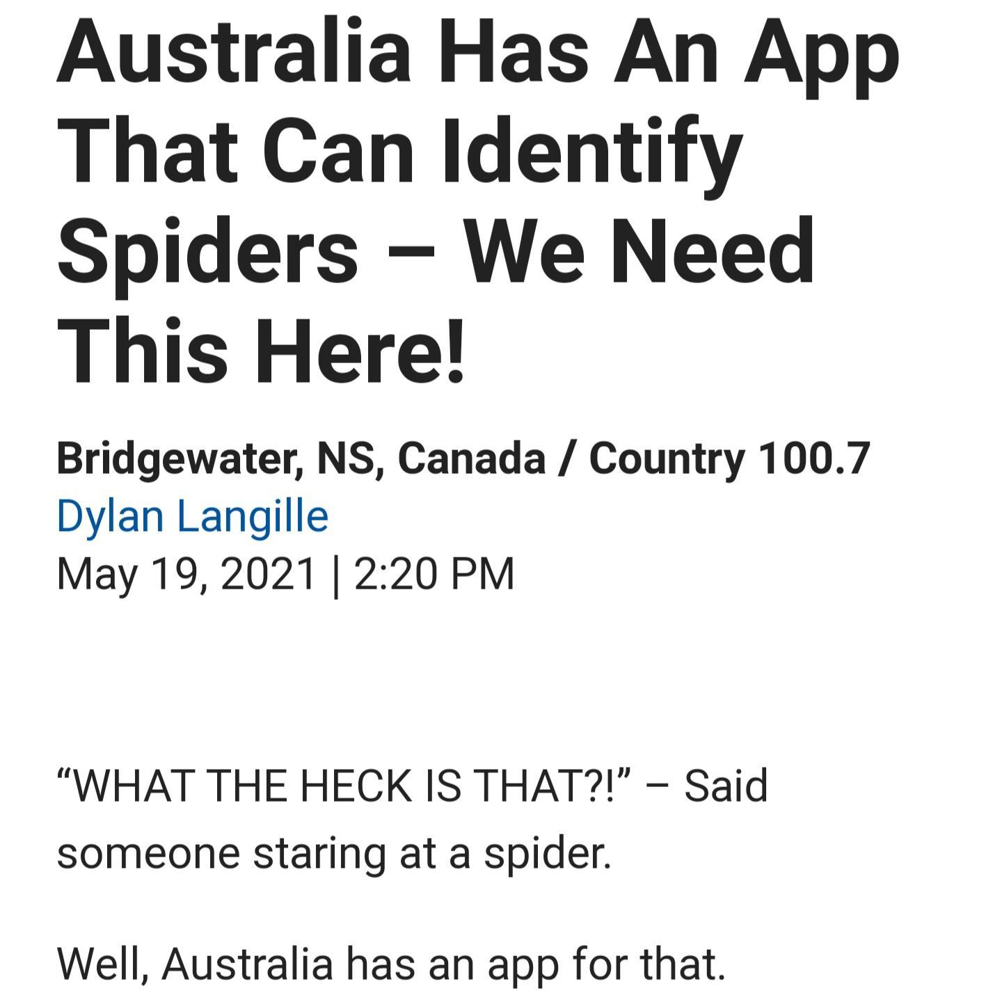 Australia Has An App That Can Identify Spiders We Need This Here Bridgewater NS Canada Country 1007 Dylan Langille May 19 2021 220 PM WHAT THE HECK IS THAT Said someone staring at a spider Well Australia has an app for that