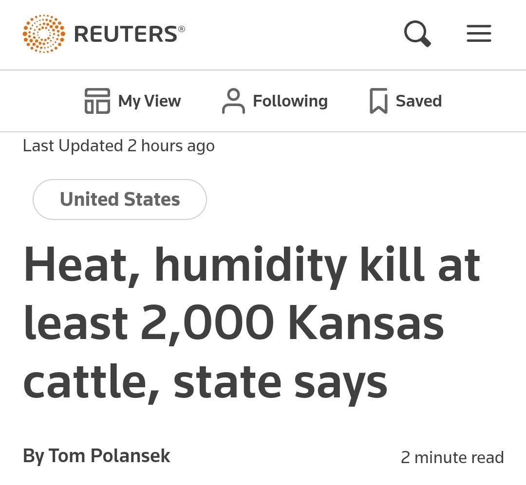 7t REUTERS Q My View g Following E Saved Last Updated 2 hours ago United States Heat humidity kill at least 2000 Kansas cattle state says By Tom Polansek 2 minute read