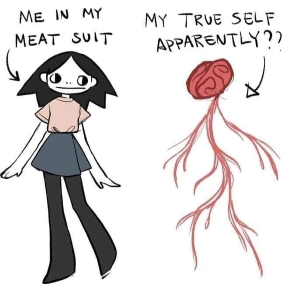 ME IN MY MY TRUE SELF MEAT SVIT ARRARENTLY