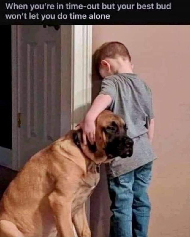 When youre in time out but your best bud wont let you do time alone