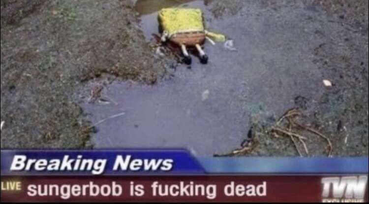 Breaking News u sungerbob is fucking dead