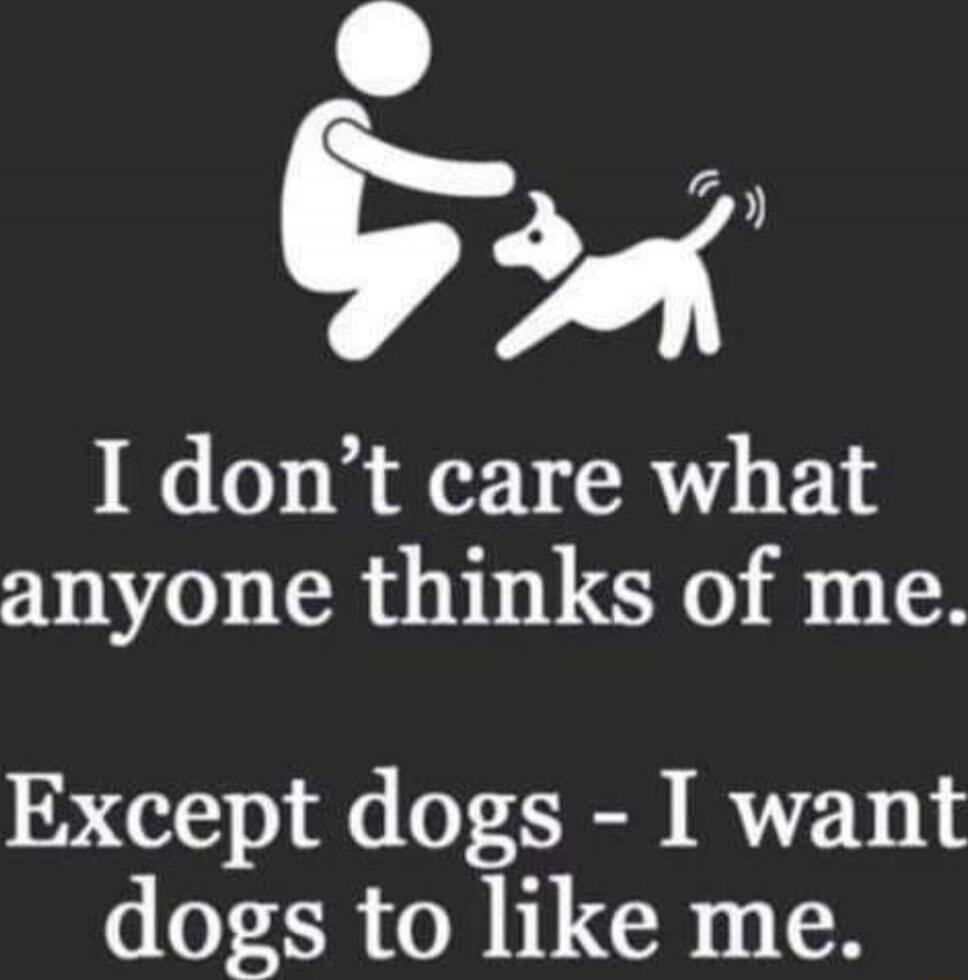 I don't care what anyone thinks of me. Except dogs - I want dogs to like me.
