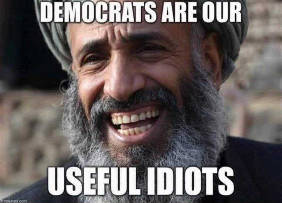 DEMOCRATS ARE OUR USEFUL IDIOTS