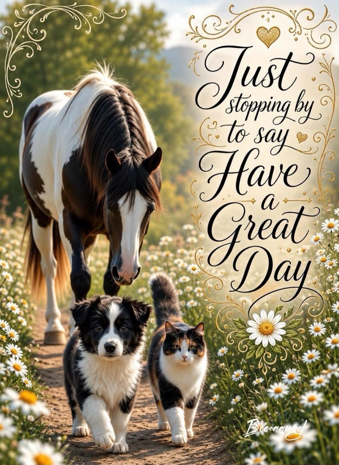 Just stopping by to say Have a Great Day