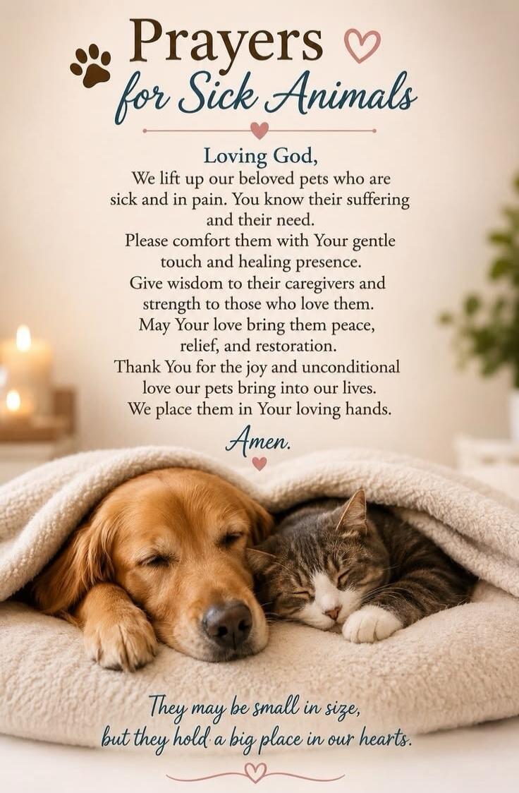 Prayers for Sick Animals Loving God, We lift up our beloved pets who are sick and in pain. You know their suffering and their need. Please comfort them with Your gentle touch and healing presence. Give wisdom to their caregivers and strength to those who love them. May Your love bring them peace, relief, and restoration. Thank You for the joy and u