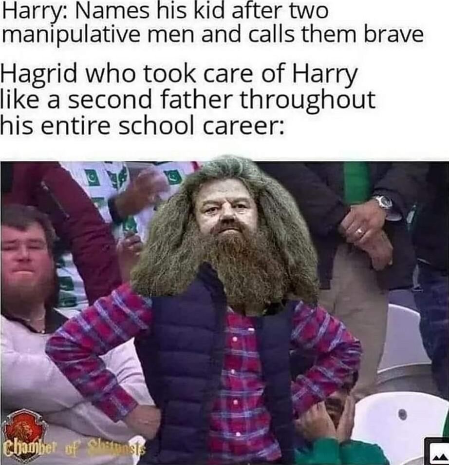 Harry Names manipulative men and calls them brave Hagrid who took care of Harry like a second father throughout his entire school career