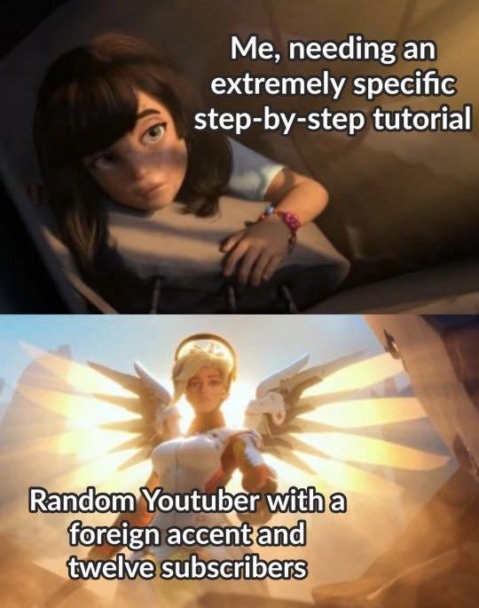 Me needing an extremely specific step by step tutorial Random Youtuber e