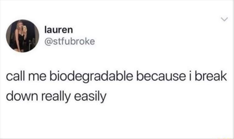 lauren stfubroke call me biodegradable because i break down really easily