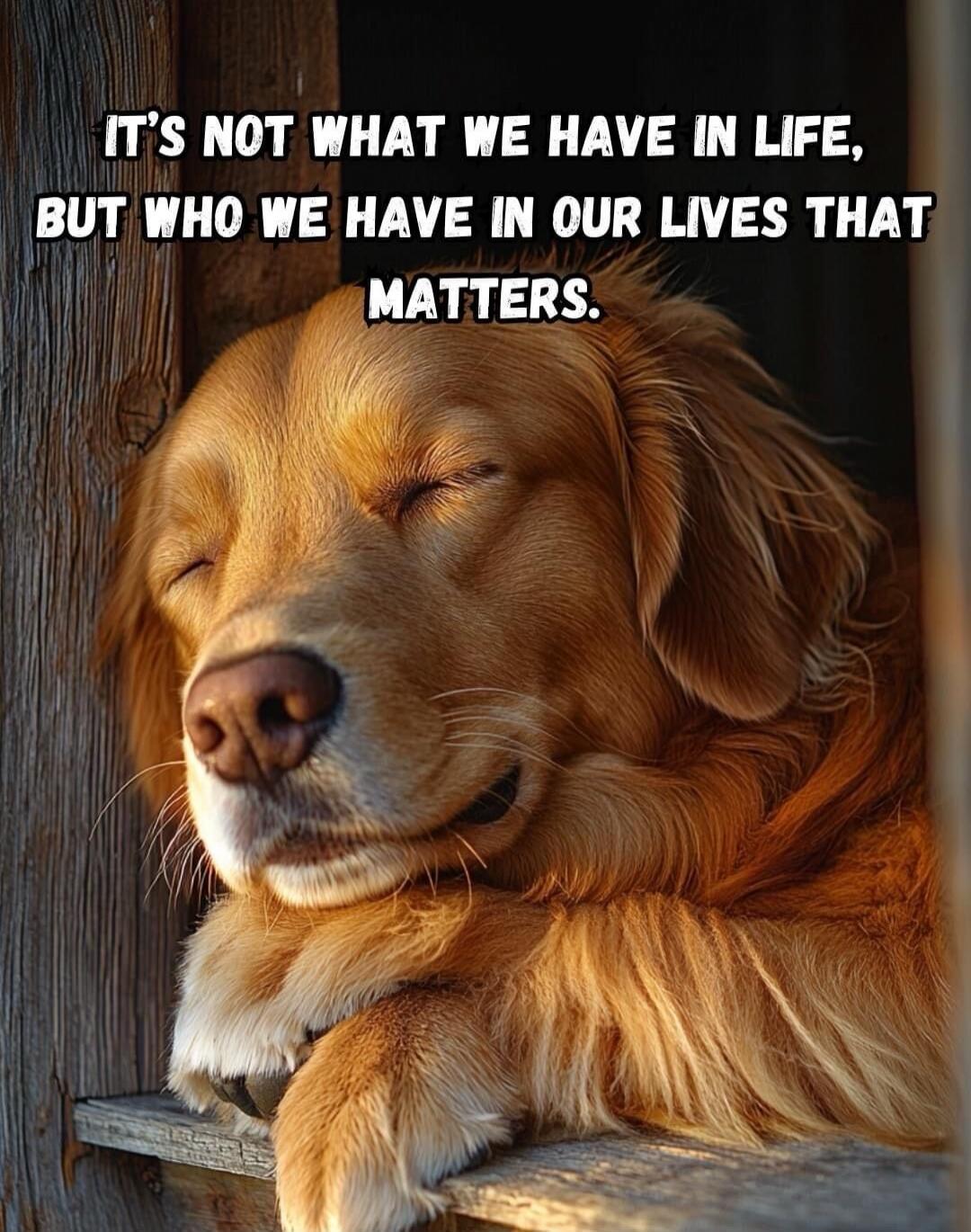 IT'S NOT WHAT WE HAVE IN LIFE, BUT WHO WE HAVE IN OUR LIVES THAT MATTERS.